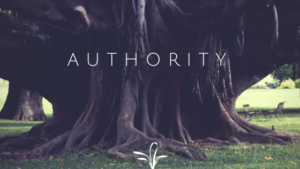 authority, Matthew Brandt, Accountability Cop, Action, Accountability, Keynote Speaker, Author